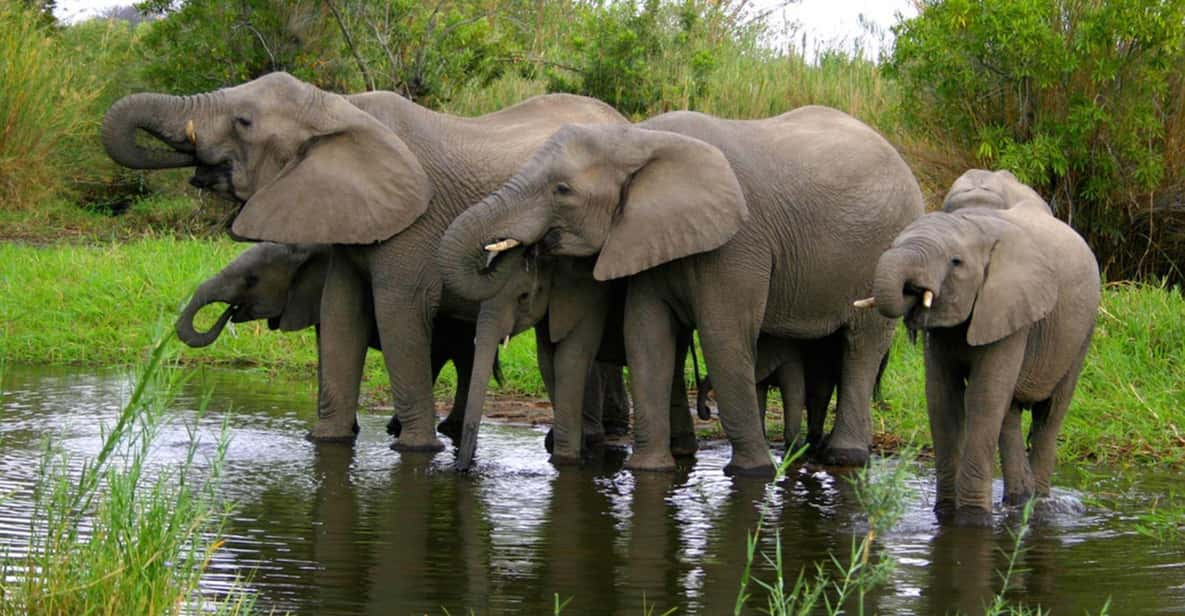 5 Day Zululand Pvt Safari From Durban Plus Drakensberg M - Durban and Isimangaliso Wetlands Park