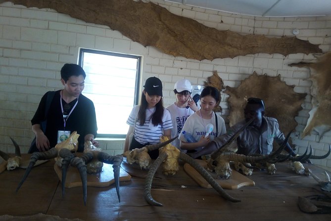 5 Days Adventurous Wildlife Safari