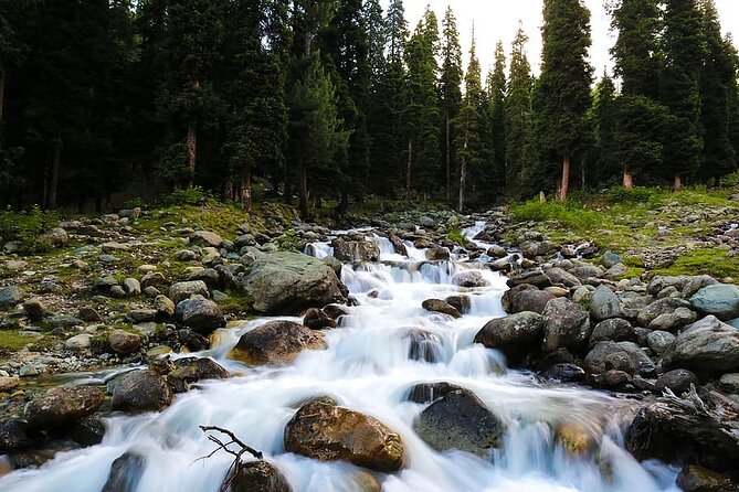 5 Days and 4 Nights Private Tour of Kashmir - Detailed Itinerary