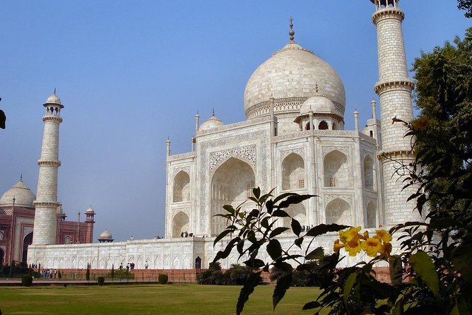 5 Days Golden Triangle Tour and Ranthambore Wildlife Safari - Overview of the Tour