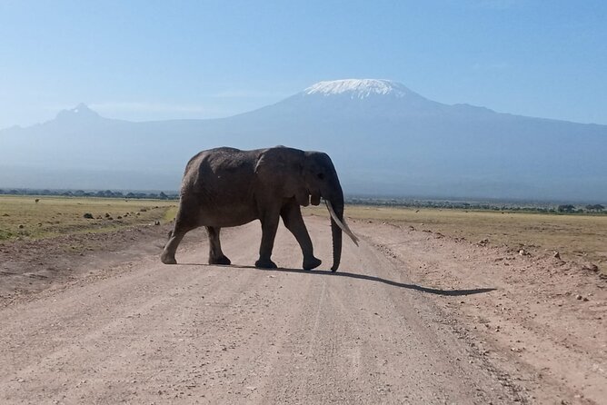 5 Days Lake Naivasha, Lake Nakuru, & Masai Mara - Overview of the Safari Experience