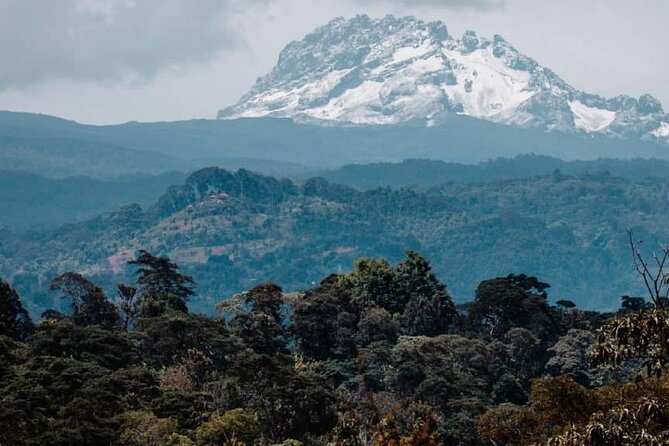 5 Days Safari, Hiking & Culture (Serengeti & Kilimanjaro)