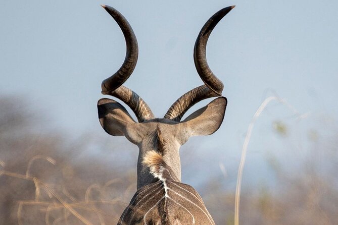 5-Days Selous Game Reserve and Mikumi National Park Tour