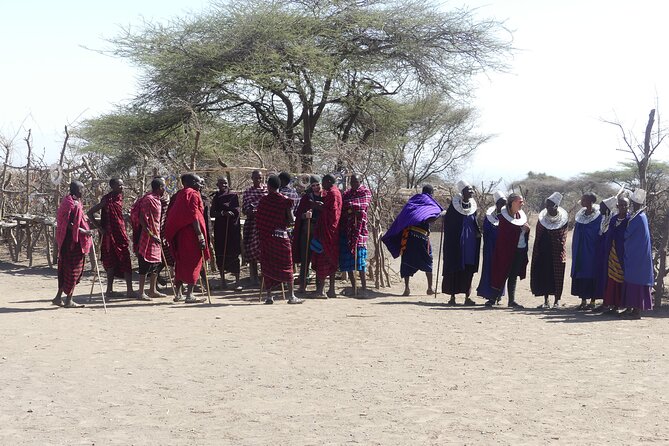 6-Day Northern Safari