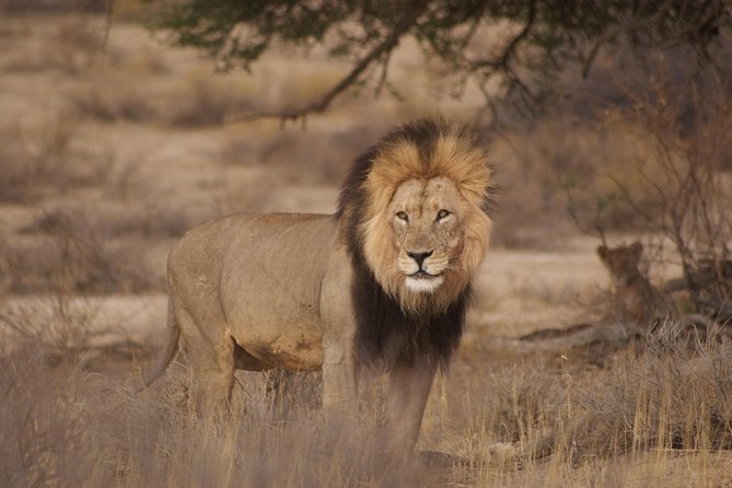 3 Best Guided Tours In Windhoek