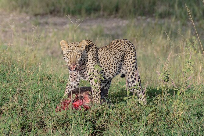 6-Day Tanzania Adventures Safaris – Group Joining Camping Safaris
