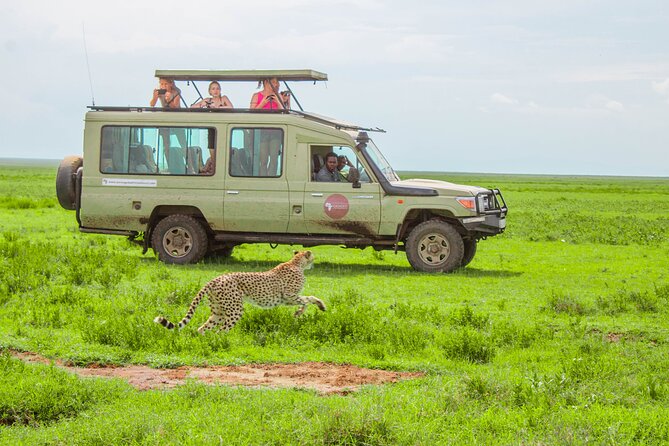 6 Day Tanzania Wildlife Mid Range Safari