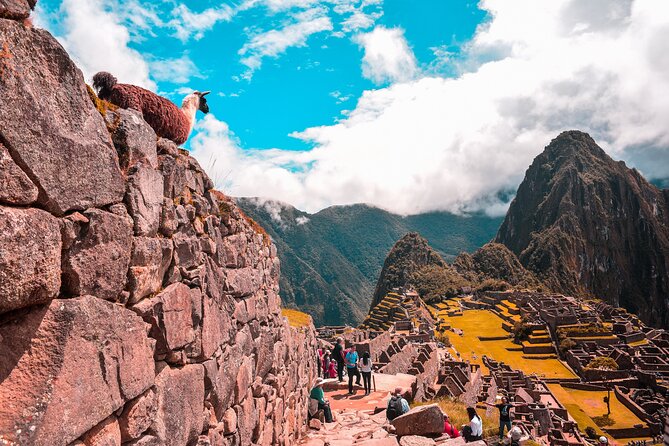 6-Day Tour of Cusco Magico-Machu Picchu-Rainbow Mountain - Tour Highlights