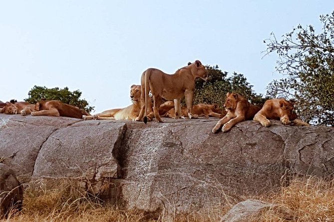 6 Days Tanzania Classic Safari