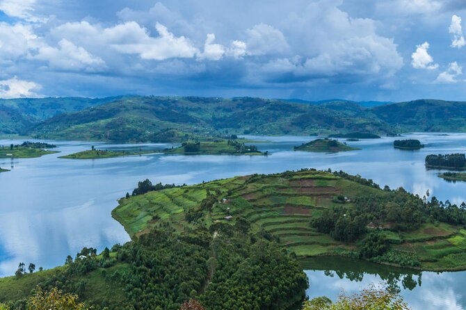 6 Days Uganda Gorilla, Chimps Trekking and Wildlife Safari