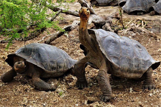 7-Day Galapagos Magic Expedition - Overview of the Expedition