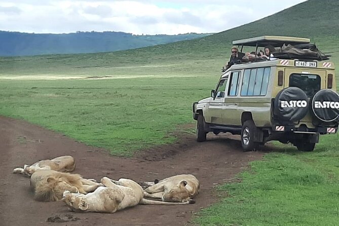 7-Day Great Migration Safari