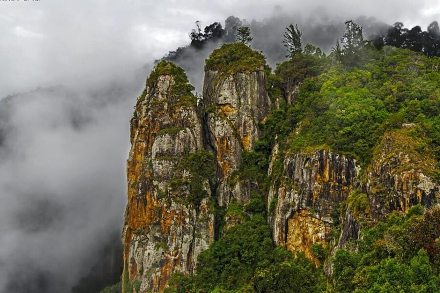 2 Best Private Car With Driver Services in Munnar