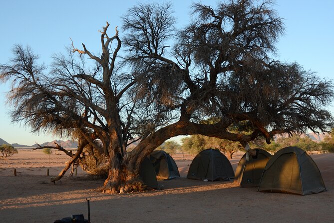 7 Day Southern Namibia and Sossusvlei Camping Safari