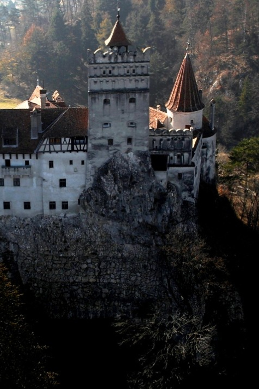 7-Day Vampire in Transylvania Dracula Tour - Tour Overview and Pricing