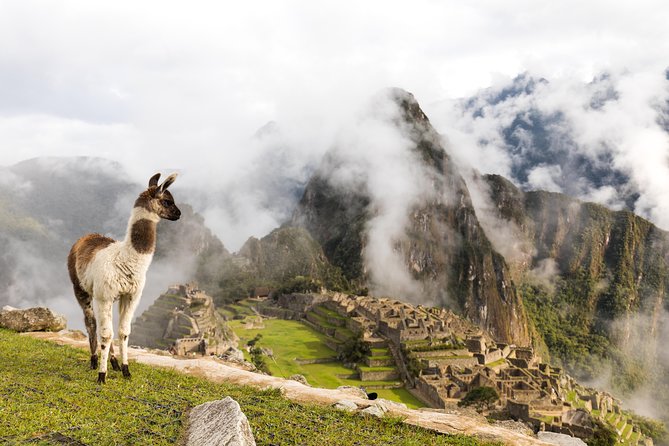 7 Days Andean World From Lima - Tour Overview