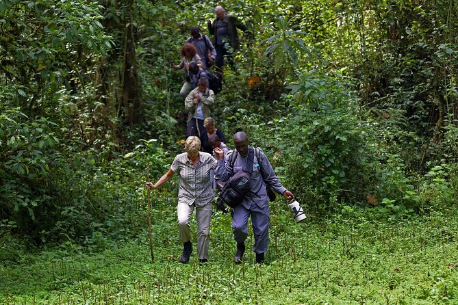 7 Days Flying Gorillas and Wildlife Safari Uganda Private Tour