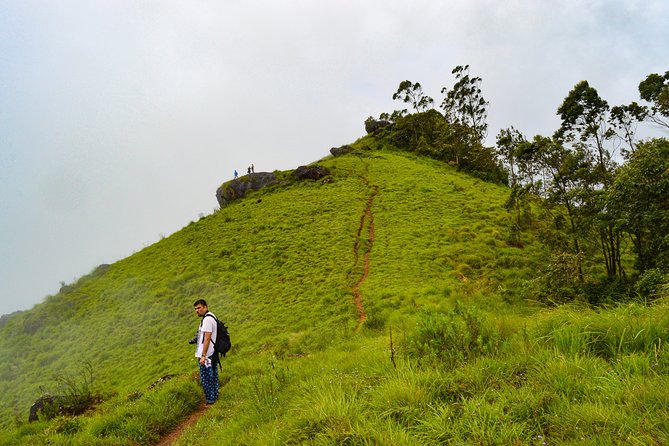 7 Days Kerala Tour- Munnar, Periyar, Houseboat & Varkala Beach - Itinerary Highlights