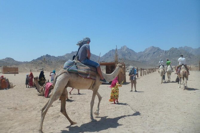 7x1Mega Safari Sharm El Sheikh