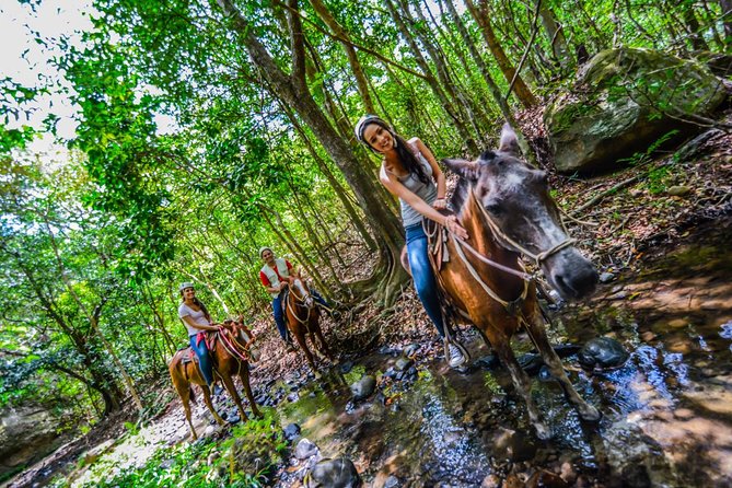 8-Day Best of Northwest Costa Rica From San Jose: Arenal Volcano National Park, Alajuela and Guanacaste