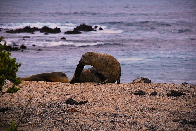 8 Day Galapagos Adventure in San Cristobal, Santa Cruz & Isabela - Tour Overview
