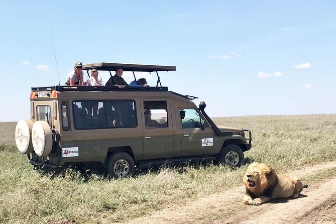 8 Day Spectacular Migration Serengeti Mid -Range Tanzania Safari - Overview of the Safari