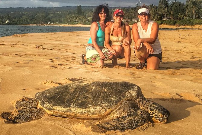 8 Hour Circle Island Jeep Tour
