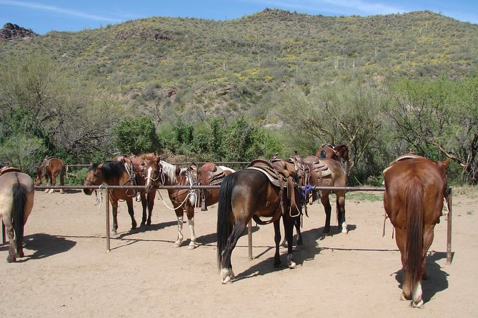 A Day in the Old West Adventure Including Horseback Ride and Cowboy Lunch