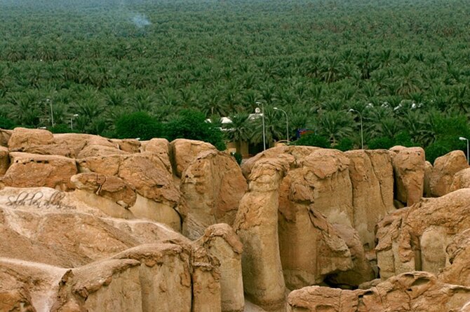 3 Best Tours In Saudi Arabia
