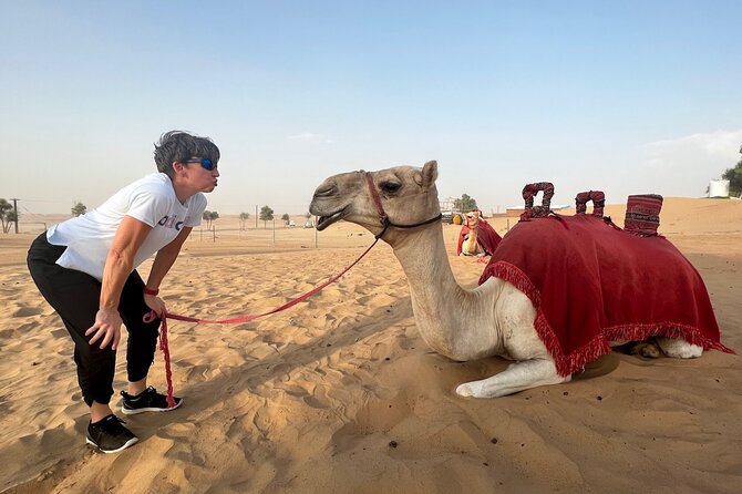 Abu Dhabi Evening Desert Safari Tour With Shows and BBQ Dinner