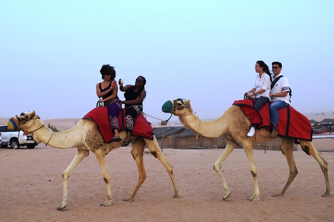 Abu Dhabi Evening Desert Safari With BBQ Dinner and All Camp Activities