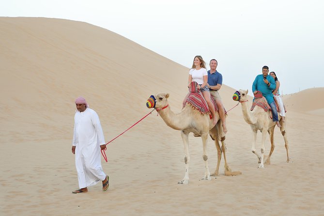 Abu Dhabi Half Day Desert Safari - Overview of the Safari