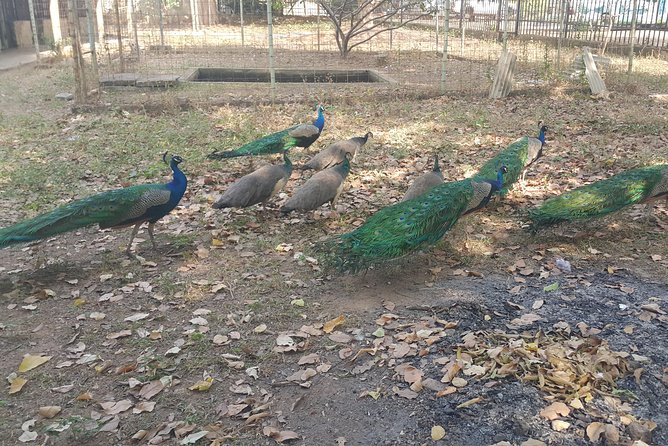 Abuja City Tour – Discover Nigerias Capital