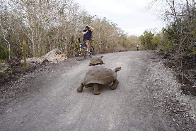 Active Galapagos Island Tour 10 Days - Tour Overview