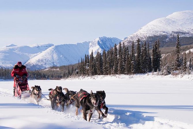 Active Winter Adventure in Yukon | 5 Days