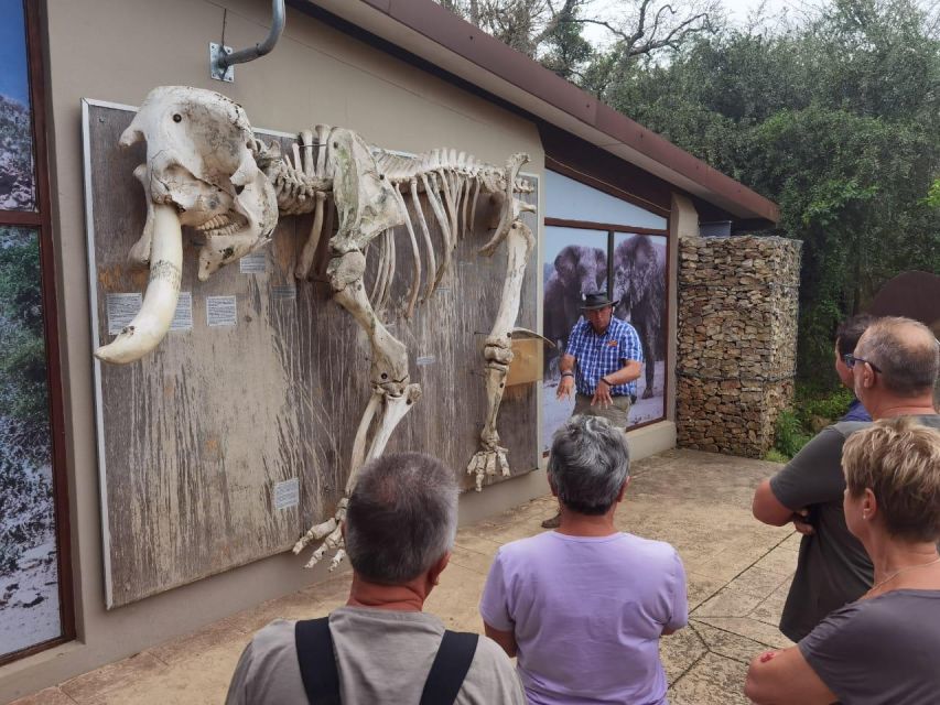 6 Best National Park Tours In Addo Elephant National Park