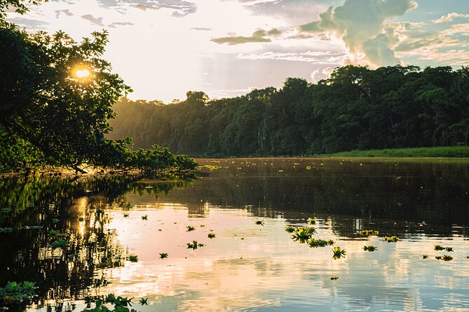 Adventure in the Amazon Jungle 5d/4n at Amazon Mamori Lodge