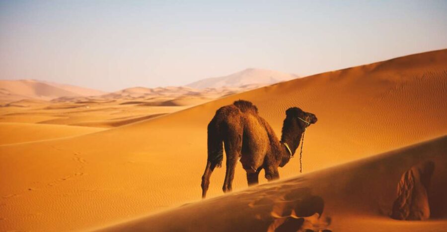 Agadir: Chegaga Wild Desert 3 Days Including Desert Camp