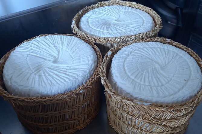 Agriaperitivo in a 3-Hour Farm Activities in Ugento - Overview of Agriaperitivo