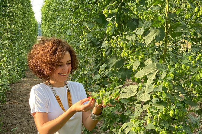 Agricultural Brewery Tour in the Roman Countryside