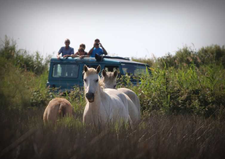 Aigues Mortes: PRIVATE Jeep Photo Safari in Camargue