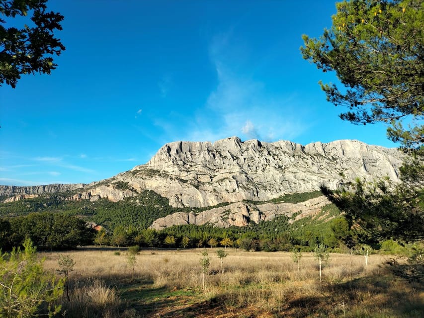Aix & Marseille: Well-being Day: Nature, Yoga, Picnic & Wine
