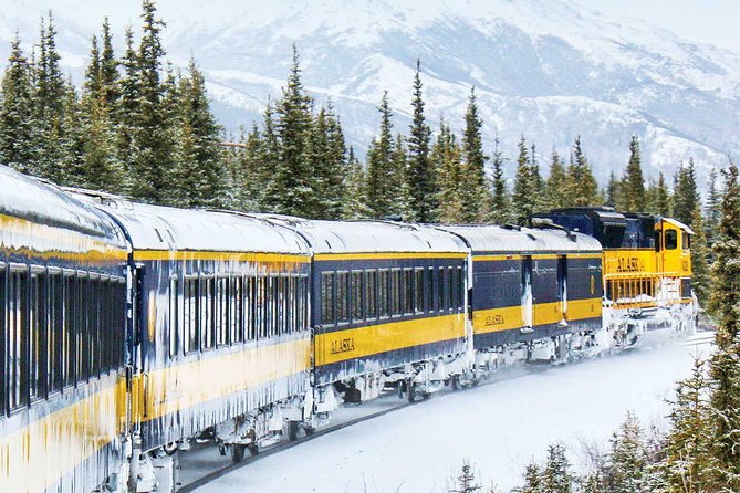Alaska Railroad Aurora Winter Fairbanks to Anchorage One Way - Scenic Journey Overview