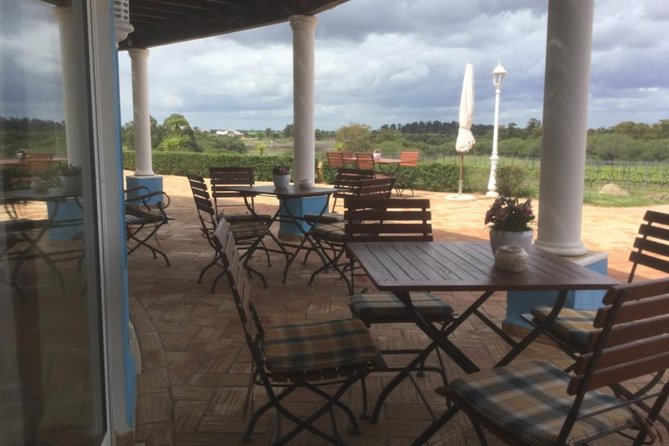 Alentejo Wine Tour From the Algarve