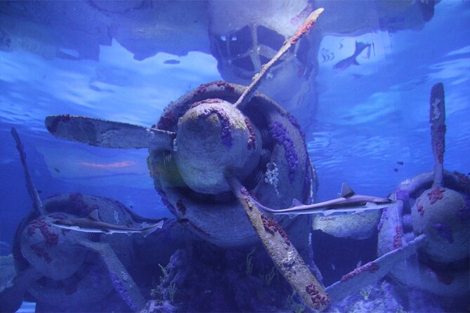 Alexander Waterfall and Antalya Aquarium Day Tour From Side - Tour Overview and Highlights
