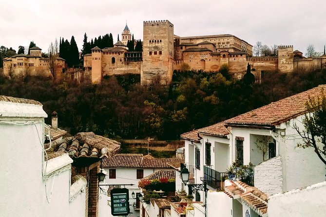 Alhambra and Granada City Center Sightseeing Tour!