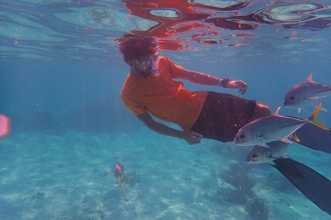 All-Inclusive Full-Day Hol Chan Snorkeling Tour