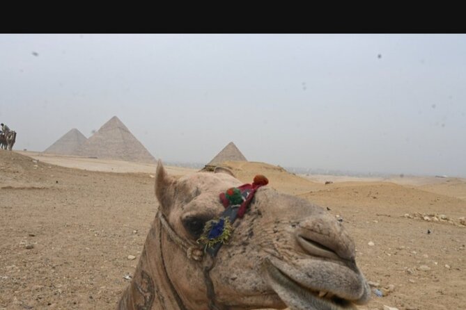 All Inclusive Giza Pyramids, Camel Ride ,Sphinx, Lunch and ATV
