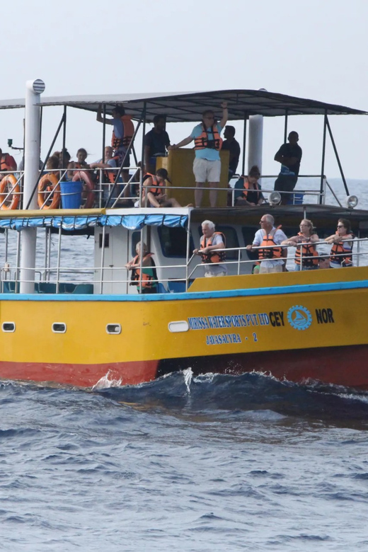 All Inclusive Mirissa Whale & Dolphin Watching + Snorkeling - Experience Highlights