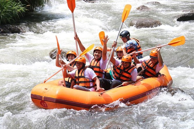 All Inclusive - Toekad Ubud Ayung River Rafting - Overview of Ayung River Rafting